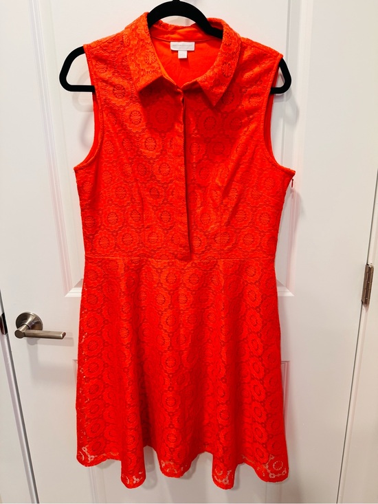 New York & Company Dresses & Skirts - New York & Company Bright Orange Sleeveless Lace Fit-and-Flare Dress